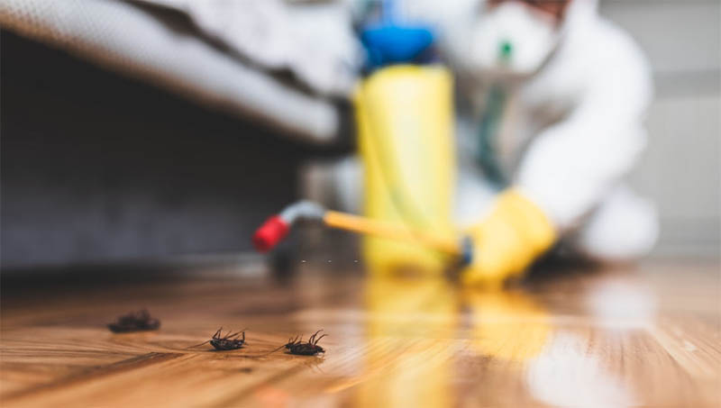 Pest control worker — telecoms for pest control businesses