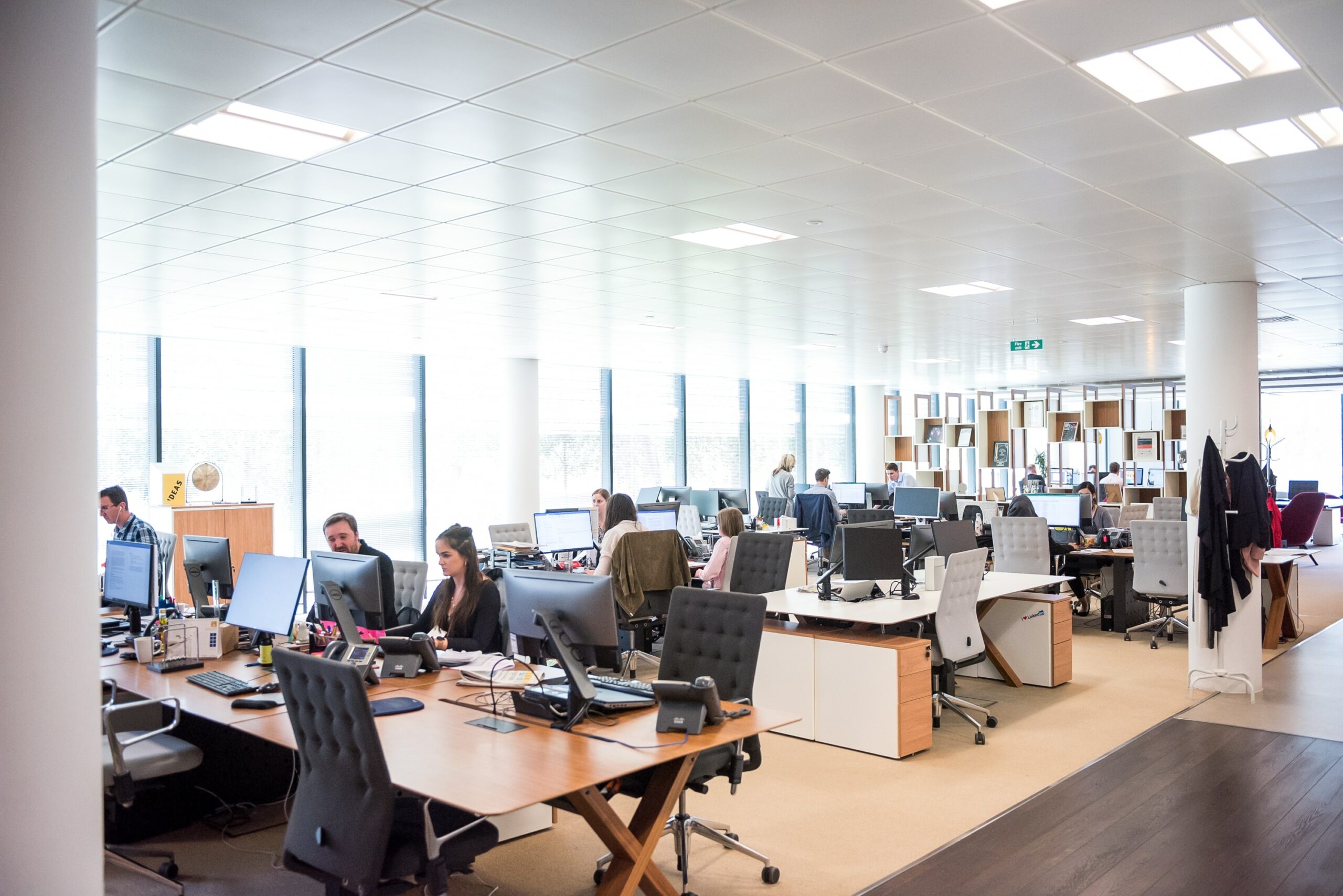An open-plan office where a growing South African team is working across multiple desks — the kind of business Euphoria's phone system is built to scale with