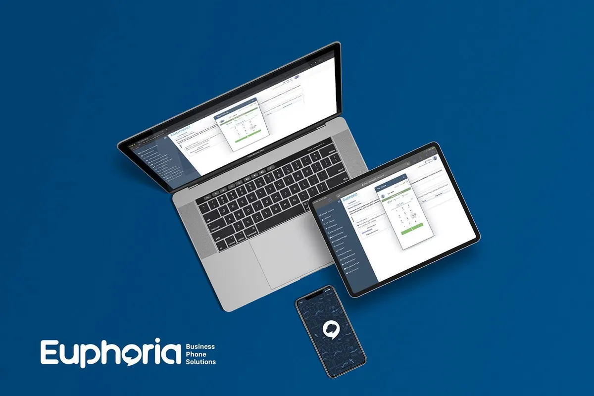 Who is using VoIP and why?